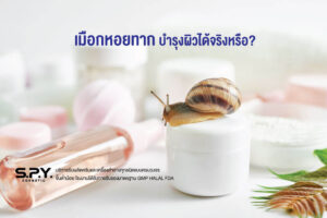 snail-mucus-skin-care