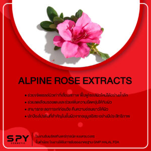 Alpine rose active-extract