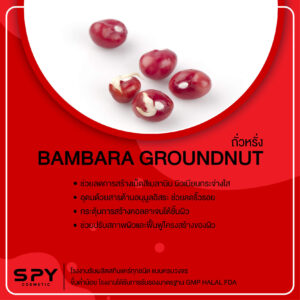 Bambara groundnut